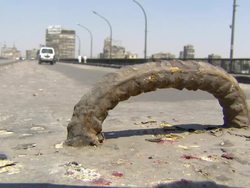 Egyptian Government Protests News Clip