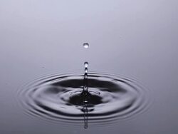 CU SLO MO Drop of water falling into Water / Vieux Pont, Normandy, France Stock Footage