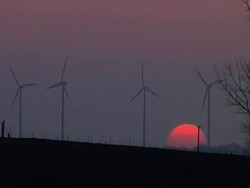 Windmills at sunset Stock Footage