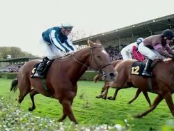 MS SLO MO Shot of Horses gallop down home stretch / Krefeld, North Rhine Westphalia, Germany  Stock Footage