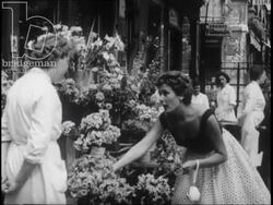 Flower, seed and bird markets. Sites in Paris. France, 1957 Stock Footage