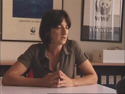 TALKING POINT Allegations that property developers encouraged fires News Clip