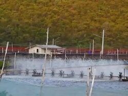 aerator Stock Footage