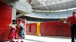 CLEAN: Colombia's bullfighter dwarves: small but gutsy News Clip