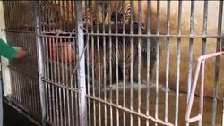 Appalling neglect of animals News Clip