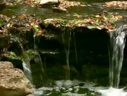 HD 1080i Stream over Rocks with Leaves 2 Stock Footage