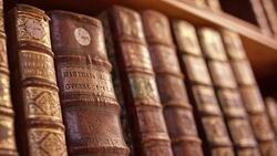DS Hand of senior woman taking old book from shelf Stock Footage