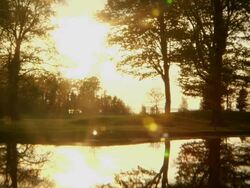 Reflection Pond 2 Stock Footage