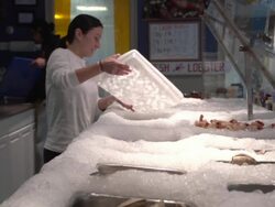 Fish market employee pours ice on shellfish on Cape Cod Stock Footage