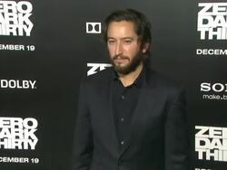 Greg Shapiro at Zero Dark Thirty Los Angeles Premiere Stock Footage