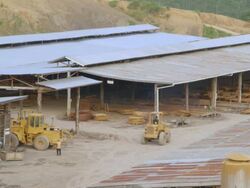 MS Tractor at Logging yard / Tawau, Sabah, Malaysia Stock Footage