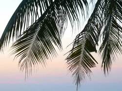 HD Sunset on the beach Stock Footage