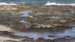 Plastic Waste Washed up on Maltese Coast News Clip