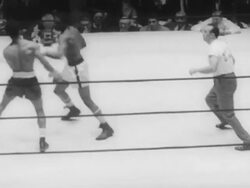 Heavy weight finals for Golden Gloves contest Stock Footage