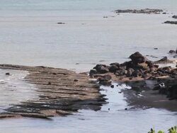 Fossil Shell Beach or Susaan Hoi (Krabi, Thailand). Stock Footage