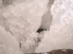 CLEAN: Ecstasy on ice News Clip