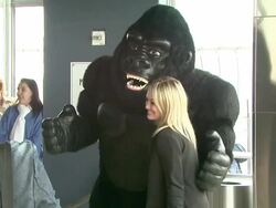 Hilary Duff Hosts Lighting Ceremony For AIDS Walk NY Stock Footage