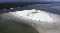 Estuary And Inlet In Parque Do Superagui  - Aerial View - Paranï¿½, Brazil Stock Footage