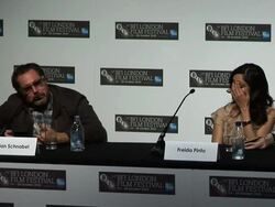 INTERVIEW - Julian Schnabel Stock Footage