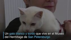 CLEAN : Aquiles el pronosticador oficial del Mundial 2018 News Clip