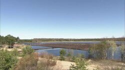 Shrubs grow around a fish farm. Stock Footage