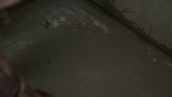 laying ceramic wood tiles on floor, installing tiles  in construction site. Stock Footage