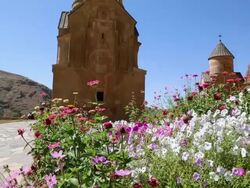Noravank monastery, butterfly and flowers in the entrace of the complex, and Surb Astvatsatsin in the background  Stock Footage