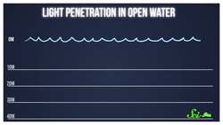 Why Is the Ocean Blue? Instructional Video