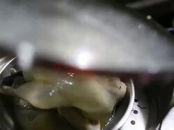 Steaming chicken Stock Footage