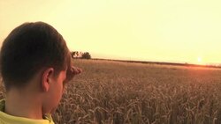 boy watching sunset Stock Footage