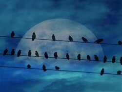 nice scenery for horror movies Stock Footage