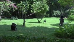 Palace gives intimate glimpse into royal's history Instructional Video