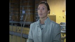 VOICED: Feng shui gives Italian wine the feel good factor News Clip