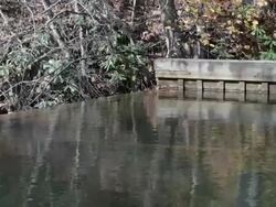Water reservoir in the Blue Ridge Mountains, Virginia, USA Stock Footage