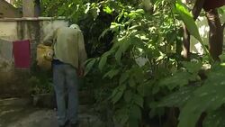 CLEAN : FILE: Brazil calls off Zika emergency News Clip