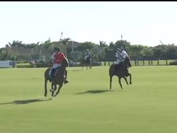 An official at an Ocala, Florida pharmacy said Thursday the business incorrectly prepared a supplement given to 21 polo horses that died over the weekend while preparing to play in a championship match. News Clip