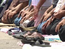 Crowds praying in Cairo for midday prayers News Clip