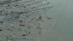 VOICED : Anger in Nigeria's south over oil spill clean up delay News Clip