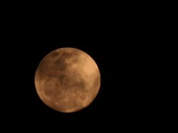 HD time lapse: full moon in a cloudy night Stock Footage