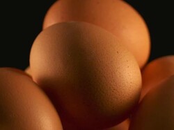 ECU Shot of fresh eggs / Malaga, Spain Stock Footage