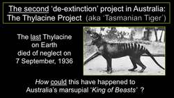 Michael Archer: How we'll resurrect the gastric brooding frog, the Tasmanian tiger Instructional Video