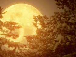 Abstract Christmas background (loopable) Stock Footage