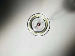 Spinning gyroscope, top view. Stock Footage