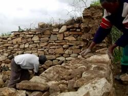 Ethiopian men build a stone enclosure Stock Footage