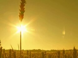 HD CRANE: Sunrise Sky Over The Countryside Stock Footage