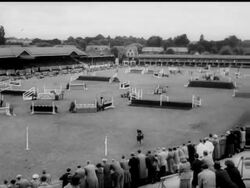 DUBLIN HORSE SHOW News Clip