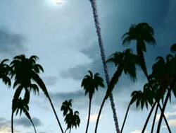 Medium Long Shot tilt-down - A meteor impact blasts palm trees in a computer-generated animation. / Washington, D.C., USA Stock Footage
