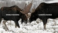 Michael Green: Why we should build wooden skyscrapers Instructional Video