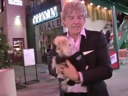 Lisa Vanderpump on Rumors with Ken Todd and Giggy Stock Footage