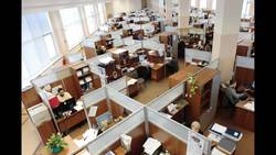 What is Business Resilience Instructional Video